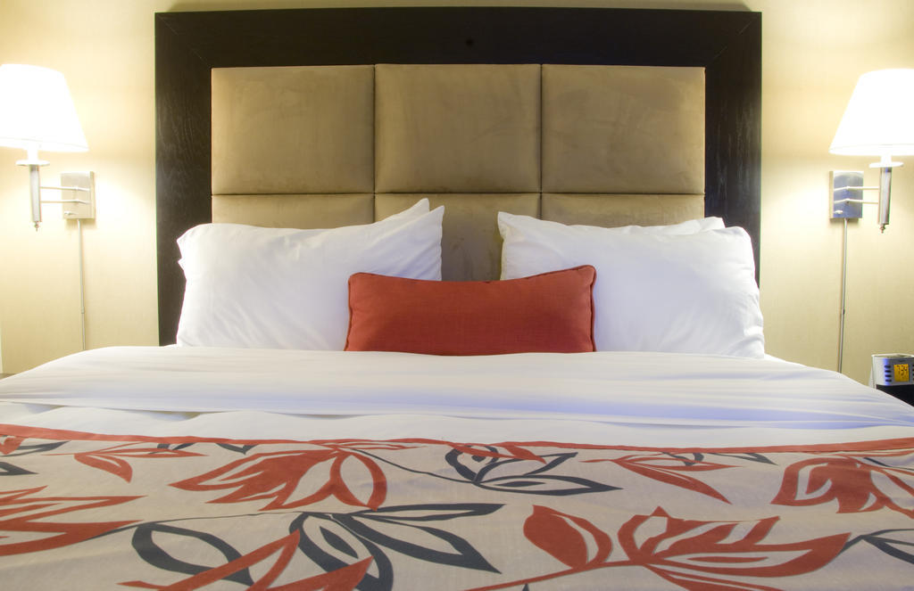 Ramada Plaza Crystal Palace Dieppe Room photo